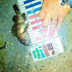 一匹いただきました！